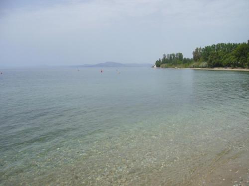  Starfish in Koropi