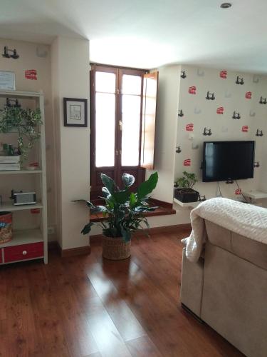  Apartamento Cine Colón in Ribadeo