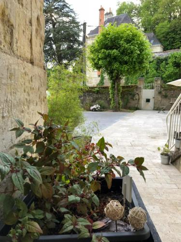 Chambre Troglodytique Villa Marie Louise