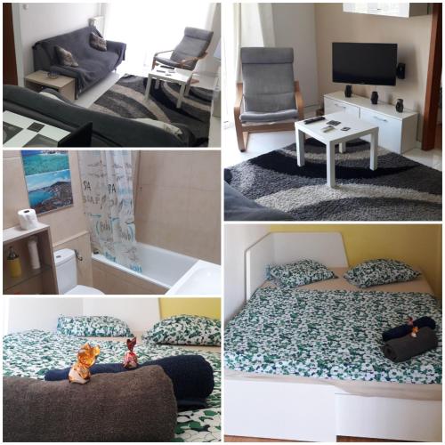 Aphrodité apartman, Budapešť (fotografie 2)