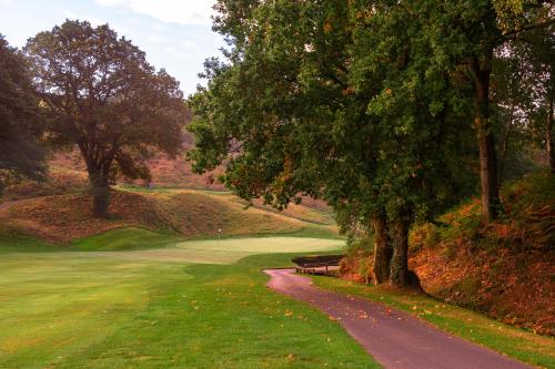 St Mellion Estate - image 5