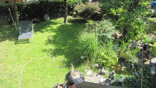  Home to Rent in Bellevue