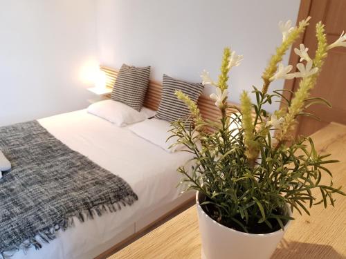  La Petite Goé, Pension in Goé