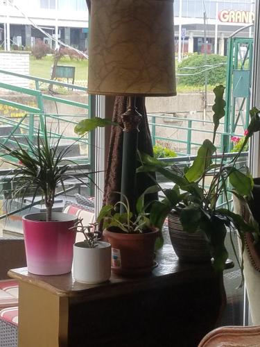Hostel Otard – Belgrade, NY