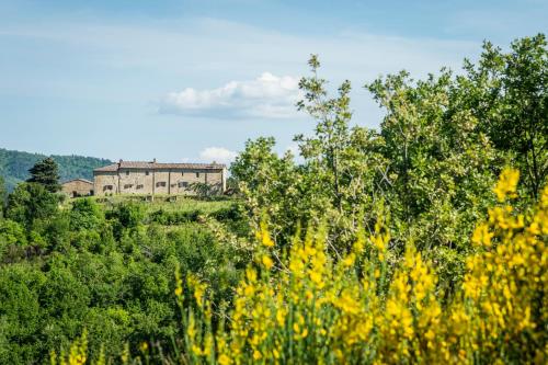 La Rimbecca Greve in Chianti