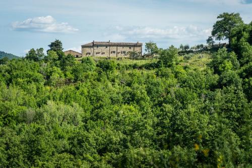 La Rimbecca Greve in Chianti