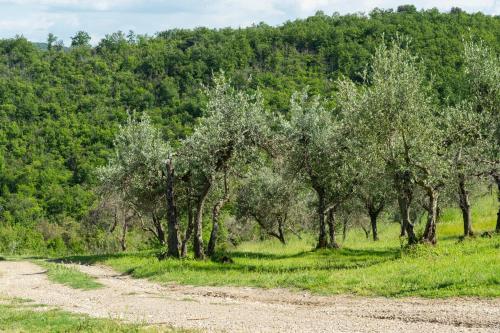 La Rimbecca Greve in Chianti