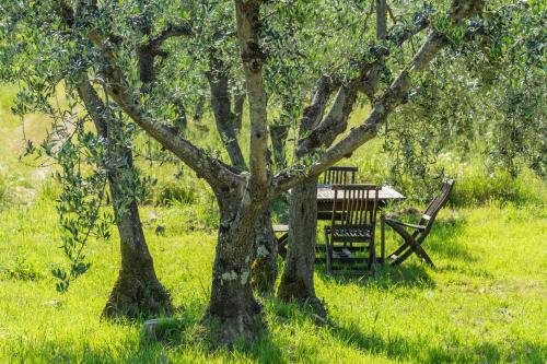 La Rimbecca Greve in Chianti