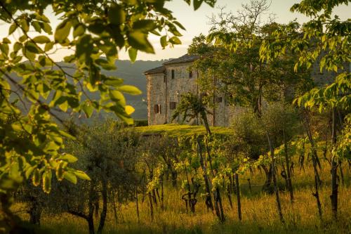 La Rimbecca Greve in Chianti