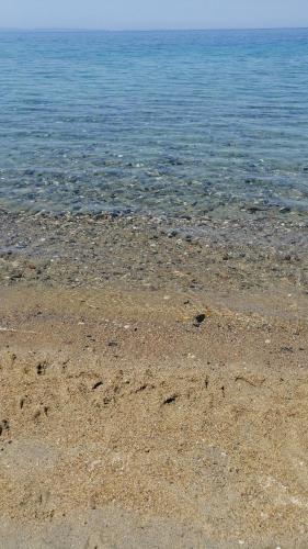  paradisos apartments 2 in Paradisos