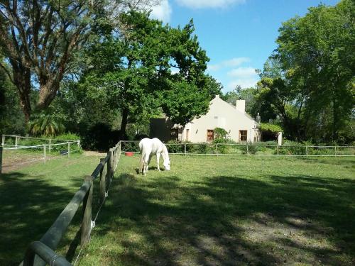 Languedoc, Stellenbosch (foto 7)
