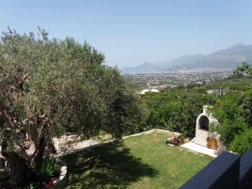 Zelena Maslina - image 13