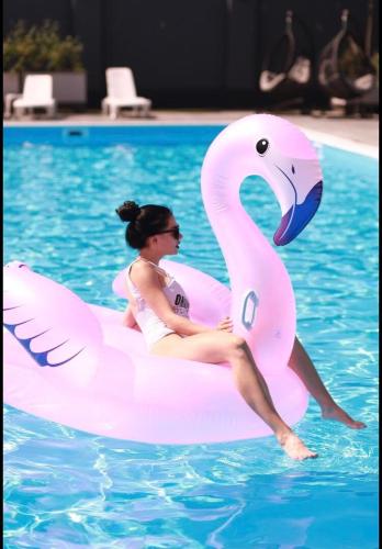 Maximus hotel in Dubnivskyi