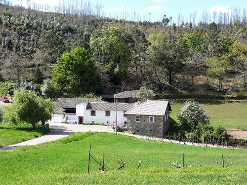 A Charming , Traditional Cottage at Quinta da Ribeira in Vila Nova de Poiares