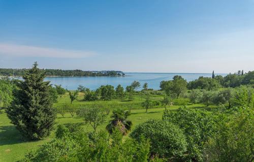 Apartments Saladinka Apartments Saladinka