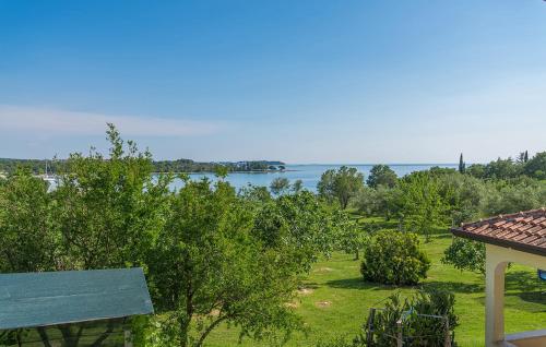 Apartments Saladinka Apartments Saladinka