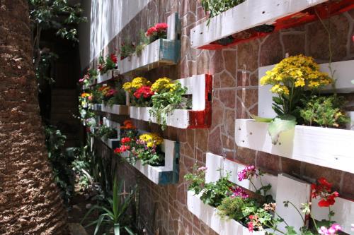 The Garden Bed and Breakfast - image 5