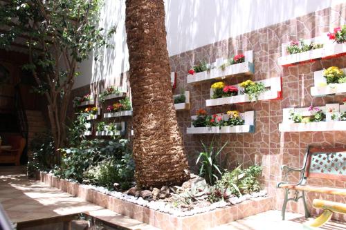 The Garden Bed and Breakfast - image 7
