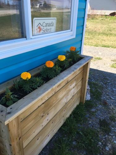 Down Home Accommodations in Rocky Harbour (NL)