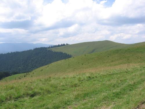 Muzey-sadyba Grazhda - image 12