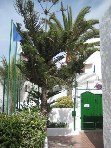 Bungalows Boston - image 11