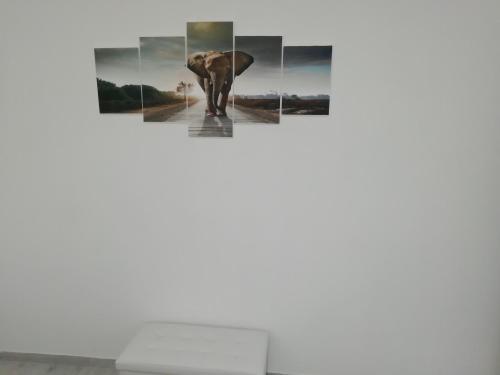 Casa Mia - image 11