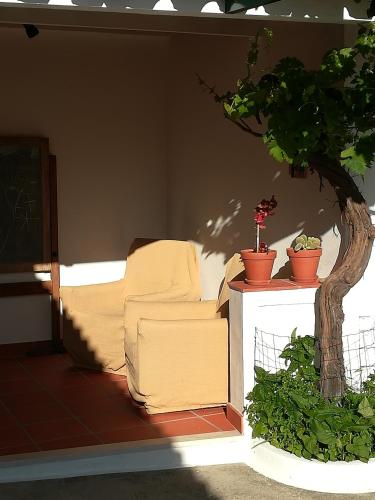 Casa dos Pedro´s in 彭波
