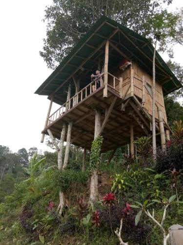 Bali Tree House Pelangi