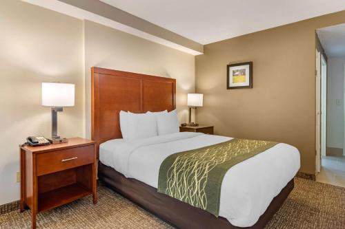 Comfort Inn Douglasville - Atlanta West