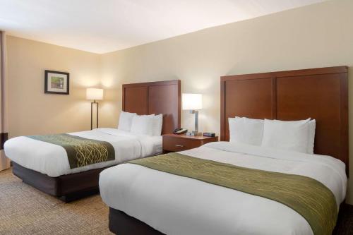 Queen Room with Two Queen Beds - Non-Smoking