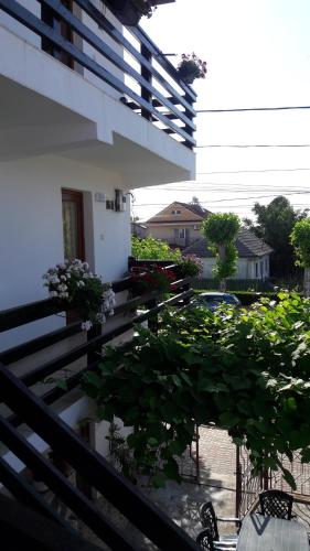 Vila Liliana - image 5