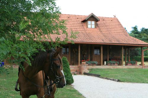 Old Oak House with pool