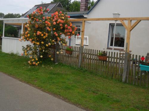 Pension Sabine in Ummanz