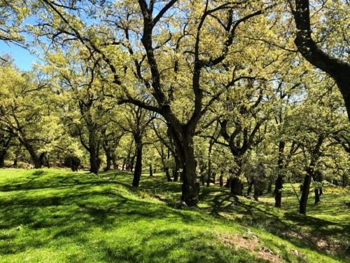 Közeli látványosságok, Apartament Piteus Centre in Sant Llorenc De Morunys