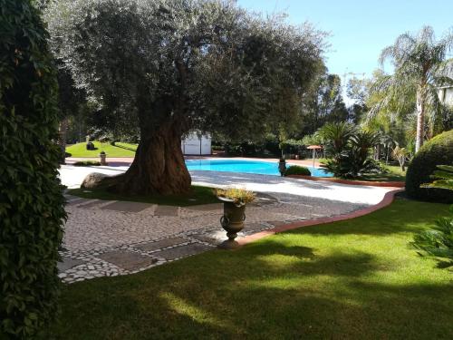 Hotel Arbatasar - main image
