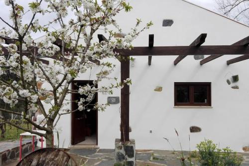 Casa da Tileira gîte à louer Carvalho