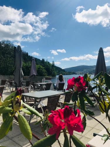 Le Chalet au bord du lac