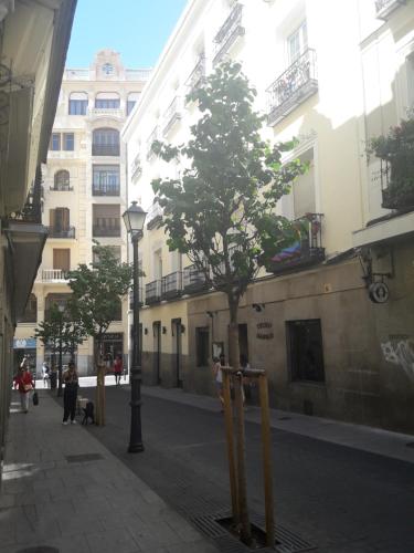 Viesnīcas āriene, New Go Inn in Madride