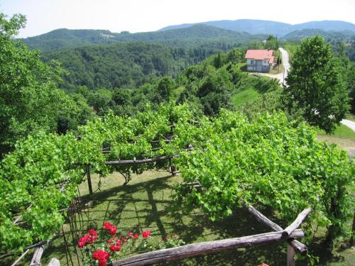 Kilátás, Holiday Home Carovina in Dobrna