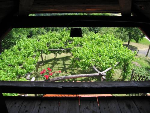 Kilátás, Holiday Home Carovina in Dobrna