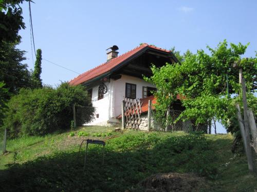 Bejárat, Holiday Home Carovina in Dobrna