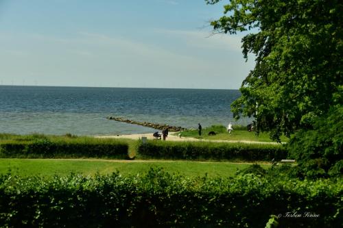 Østersø kystlejligheder - image 3