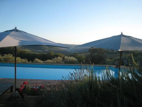 Tenuta Di Canonica - image 12