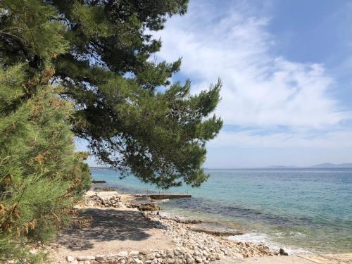 Zadar punta fkk skala Dalmatien