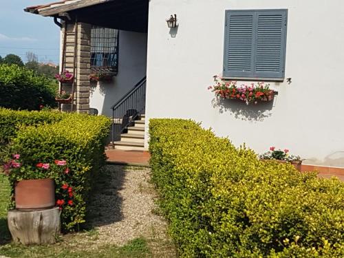 Agricampolungo Monterosi - Apartment