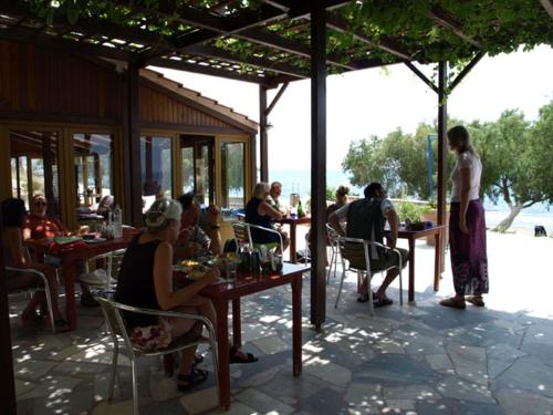 Alexander Beach Hotel - image 6