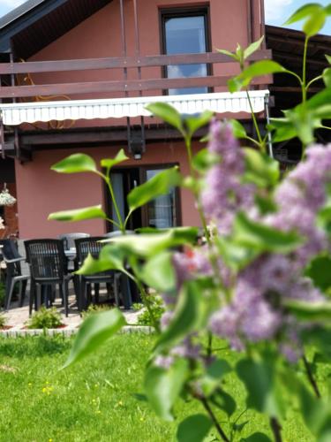 Podhale Domek u Mikolajki-blisko term Chocholowskich - Rogoznik