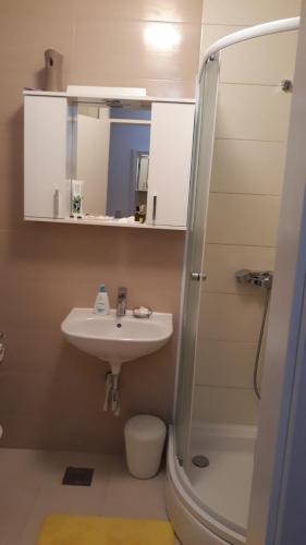 Apartmani Jelena - image 7