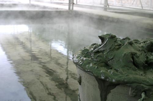 Hotel Terme Venezia - main image