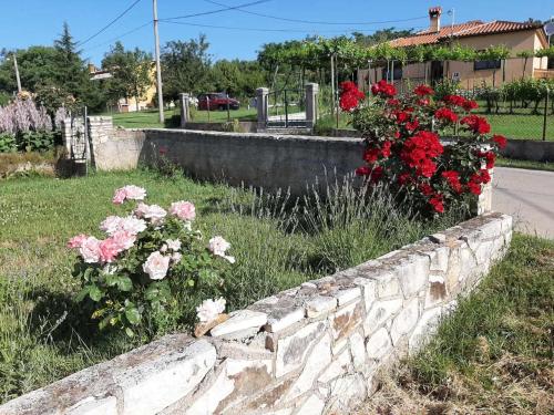 Apartman Paolo in Becici